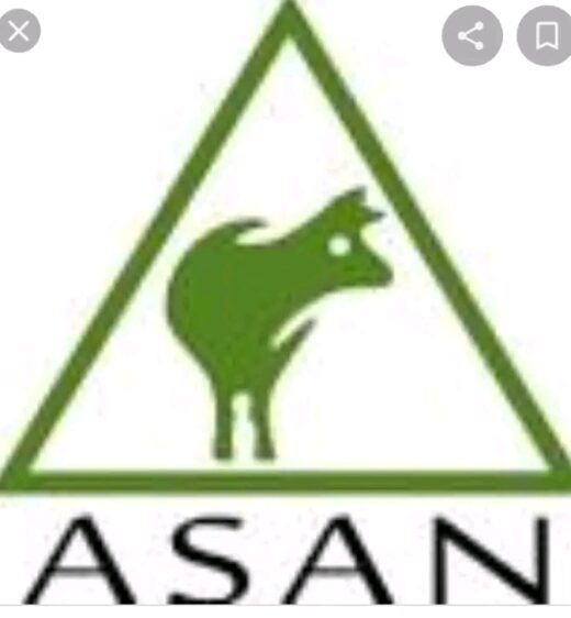 ASAN logo
